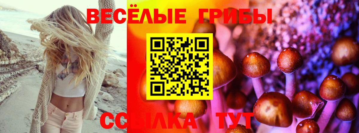 наркота  Вход с VPN  Острогожск  Псилоцибиновые грибы мицелий 